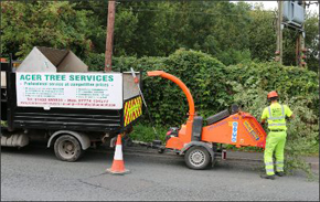 Pleased to be supporting Acer Tree Services with Long Term Hire - December 2014